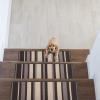 imageRugshop Contemporary Modern Stripe NonSlip Stair Treads Set of 13 86quot x 26quot GrayGray