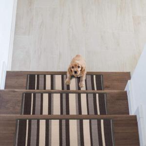 Rugshop Contemporary Modern Stripe Non-Slip Stair Treads (Set of 13) 8.6″ x 26″ Gray(Gray)